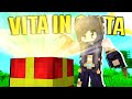 HO TROVATO UNA SORPRESA NELLA VITA IN CITT - MINECRAFT ITA