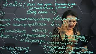 Шашы бар жетілген Наруто порно 5