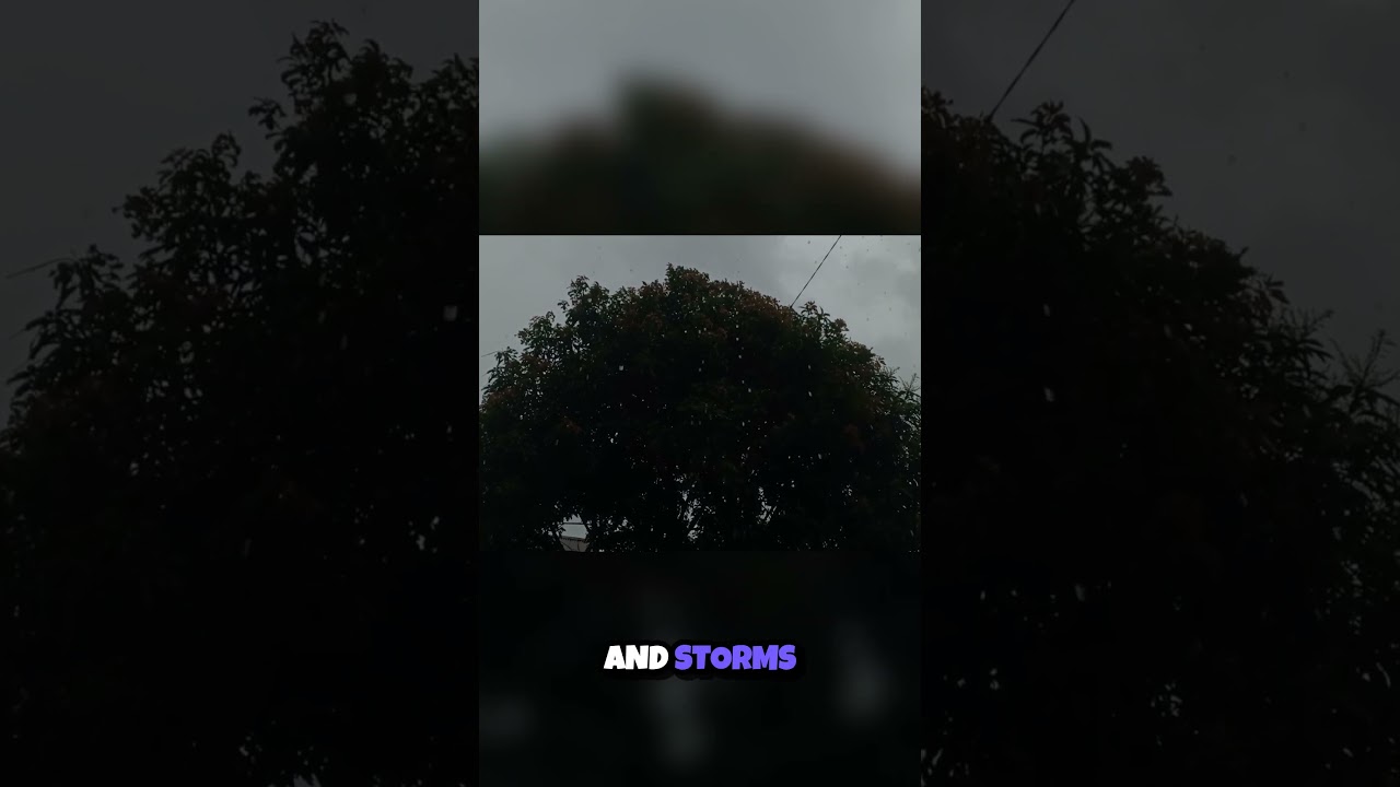 Unlocking the Secrets of Weather  How Air and Temperature Shape Our World 🌦️