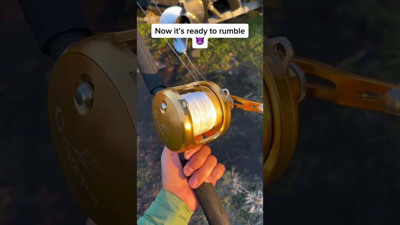 Gomexus Golden Saltwater Trolling Reel Shorts Sharkfishing Offshorefishing Saltwaterfishing
