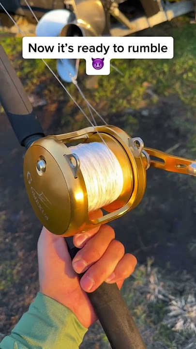 Gomexus Golden Saltwater Trolling Reel #shorts #sharkfishing #offshorefishing #saltwaterfishing
