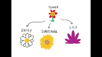 Lập trình hướng đối tượng OOP trong C#. 4 tính chất trong OOP là gì?