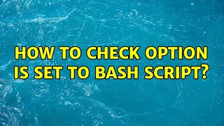 How to check option is set to bash script (2 Solutions!!)