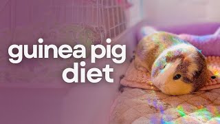 What To Feed Your Guinea Pig: Guinea Pig Diet 101
