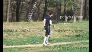 Nordic walking, Severská chůze - představení & správná technika