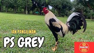 IGF 2026 | Ian Pangilinan | Allan Siaco
