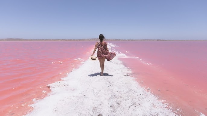 Look At This Bright Pink Lake! 