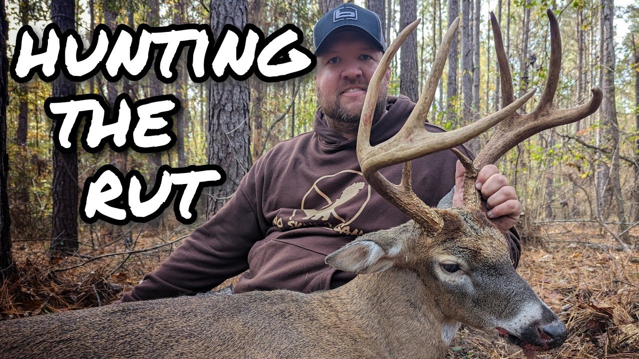 Deer Hunting The WHITETAIL RUT MULTIPLE Big Bucks November 2023 YouTube