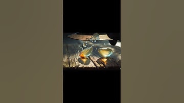 “AI cutting” ai garnet video cute kanchaa knife1. 🔪🤖 “AI Made This CUTE Knife Video?! 😱✨”#AIShorts