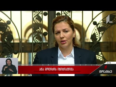 ანა დოლიძის ინიციატივა