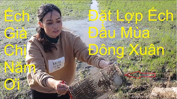 127 | Quê Hương Miền Tây | khám Phá | Săn Bắt | Ẩm Thực | Đặt Lợp Ếch Đầu Mùa Đông Xuân | frog