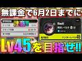 【NTE】無課金で6月2日までにハンターレベル45を目指せ‼【無課金おすすめ攻略】【Neverness to Everness】