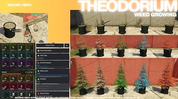 [QBOX/QBCORE] Theodorium Weed Growing Script