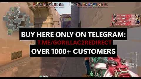 GОRILLА ВОТNЕТ C2 SHOWCASE