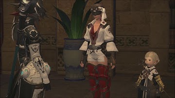 Final Fantasy XIV ARR MSQ 14 Sylph Management