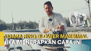 Cara Benar Penggunaan Aerator Ring Blower Untuk Budidaya