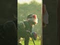 Pre-Game Chatter Reveals SNAKE RUNNER! #paintball #sports