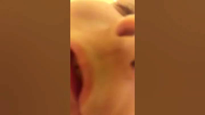 HELP ME GOD