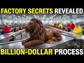 How Chocolate Is Made Inside the Factory – Billion-Dollar Chocolate Industry Secrets Revealed