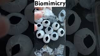 Biomimicry tekniği ile mekan tasarımı 😊 #biomimicry #mekantasarımı