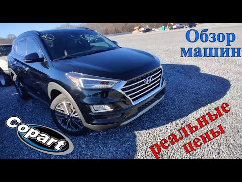 Copart Walk Around 1.12.2021 Аукцион Копарт США. Обзор машин + Цены. Америка
