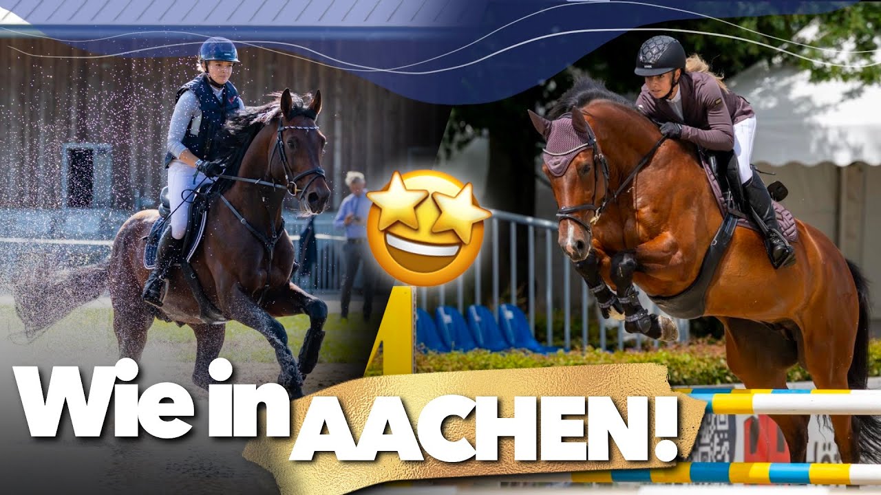 Strolch operiert 😟 | 🏅 in Gelände bis S-Springen 😍 | Springflut Festival Hörup | Weekly Vlog 