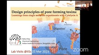 Design Principles of Pore Forming Toxins: Learnings from Single Molecule Experiments with Cytolysin