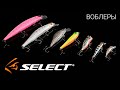 Обзор воблеров Select. Приманки для ловли хищника на спиннинг 2021