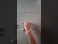 Making parrot with clay