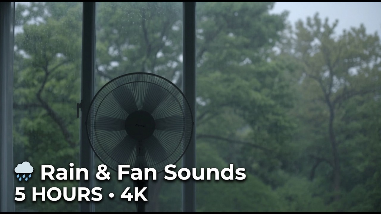 rainy-day-window-fan-contemplative-lofi-5-hours-4k-youtube