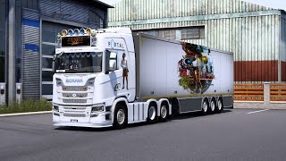ETS2 Mod review: Portal combo skin for Scania NG