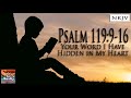 Psalm 119:9-16 (NKJV) Song "Your Word I Have Hidden in My Heart" (Esther Mui)