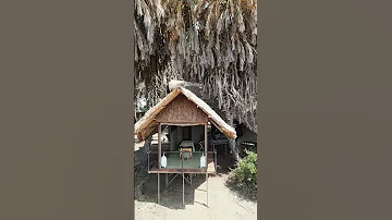 Relax And Rejuvenate Soroi Collection S Exclusive Massage Body Scrub In Samburu 