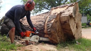 CHAINSAW MILL. Milling a huge ash tree 7 meters long.