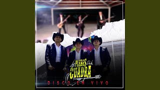 Miniatura del video "Los Plebes de la Cuadra - El Travieso (En vivo)"