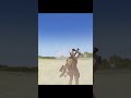 Stinger Strike: Russia’s Priciest Helicopter Obliterated! #military #militarysimulation #army