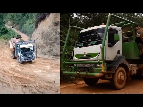 renault-and-mercedes-benz-trailer-trucks---timber-trailer-truck-hill-climb