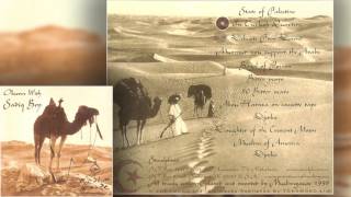 Muslimgauze ‎– Observe With Sadiq Bey (1999) [Full Album]