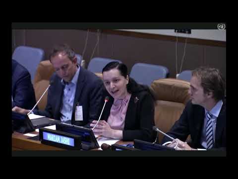 მარიამ ჯაშის გამოსვლა გაეროს გენერალური ასამბლეის ფარგლებში გამართულ შეხვედრაზე