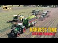 Henke Agricultural Contractors – Green forage harvesting & whole crop silage (Part 2)