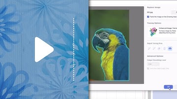 CanvasWorkspace for PC and Mac - How to Use the Enhanced Image Tracing