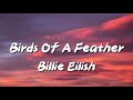 Billie Eilish - Birds of a feather (Lyrics)