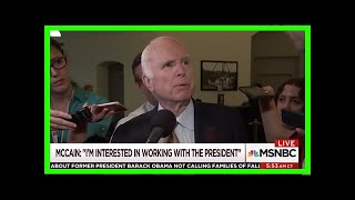 Breaking News | Mccain roasts steve doocy’s son: ‘why would you say something that stupid’
