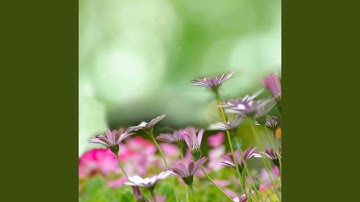 Uplifting Backdrops for Recharging Routines