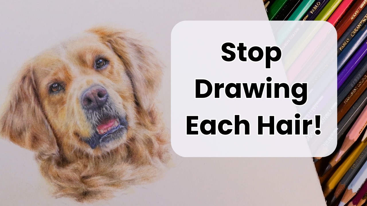 Drawing Realistic Dog Fur with Colour Pencils — Build Soft Shapes First
