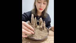 MAKING PENJING BONSAI LANDSCAPE
