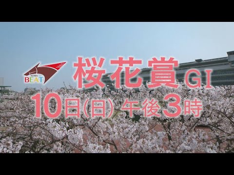 生涯一度！若き乙女たちの桜舞台【桜花賞 GⅠ 4月10日(日)午後3時】