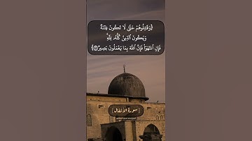 سورة الأنفال الآية ٣٨ الى ٤٠ بصوت الشيخ محمد صديق المنشاوي