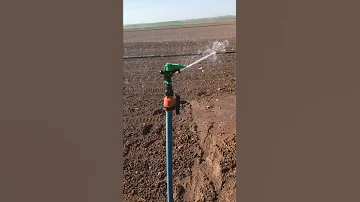 رشاش ماء كأنه كلاشنكوف 