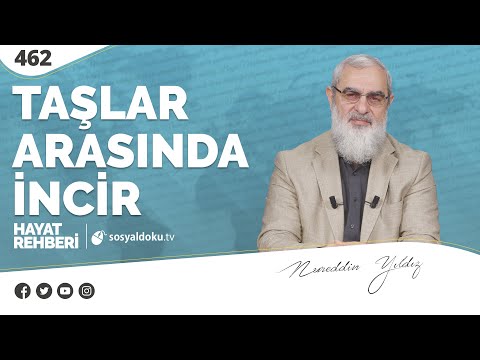 TAŞLAR ARASINDA İNCİR [Hayat Rehberi-Nureddin Yıldız] 462. Ders